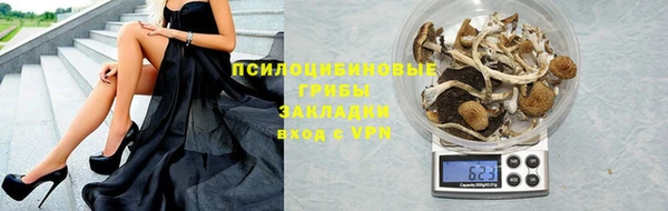 мет Осинники