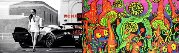 мет Осинники