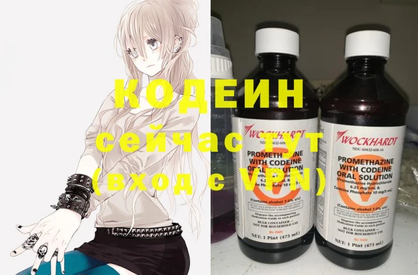 мдпв Пестово