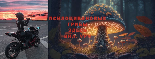 мдма Пересвет